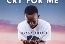 Black Sherif Cry For Me Art1